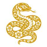 Rắn